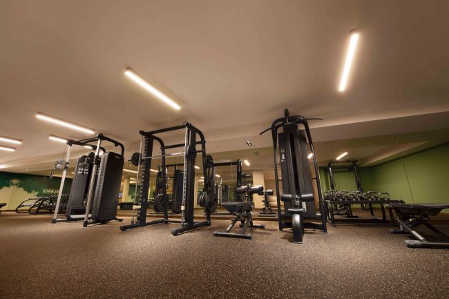 PETHI Gym 1