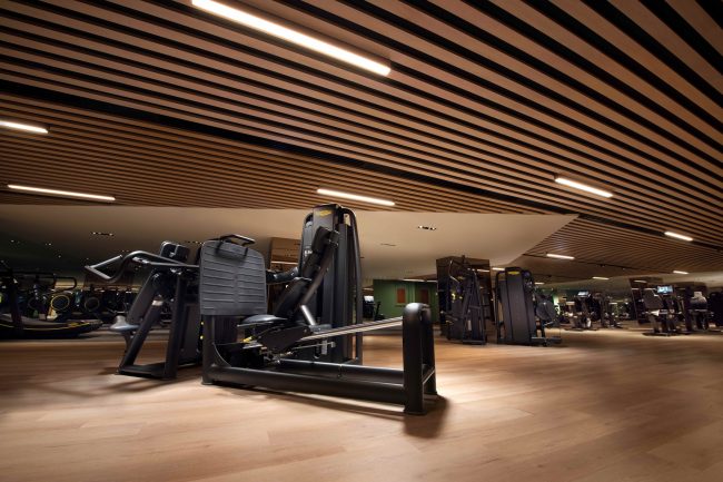 PETHI Gym 2 (1)