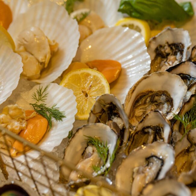 A close-up photo of fresh scallops and oysters on ice.