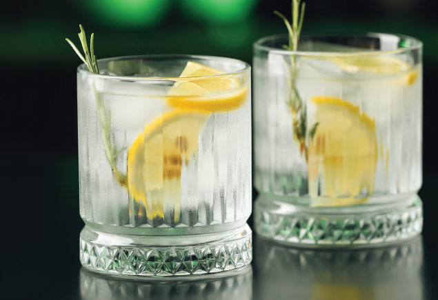 The photo shows two glasses of gin and tonic.