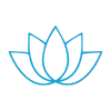 Wellness lotus icon
